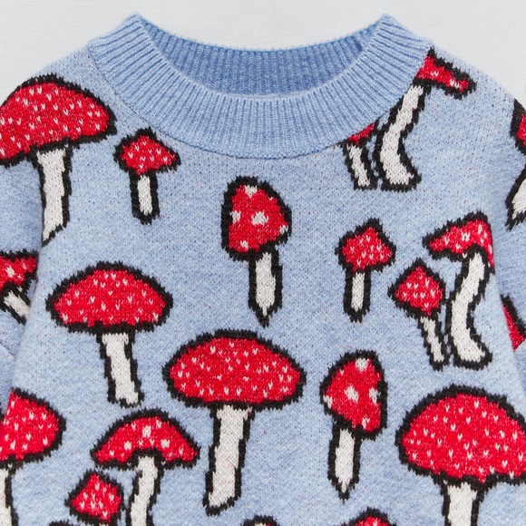 🆕 {Zara} Jacquard Knit Sweater - Mushrooms - Picture 6 of 10